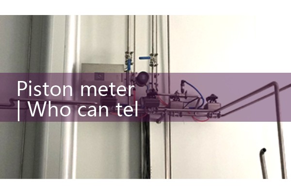 piston meter